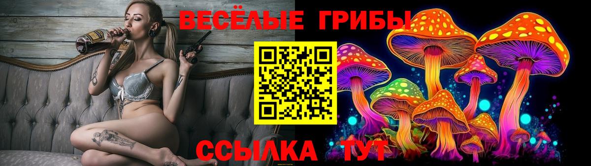 Галлюциногенные грибы Psilocybe Орехово-Зуево